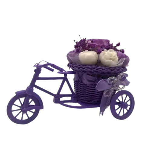 Composition_de_fondants_Parfumés_Cerise_Noire_Explosive_vélo_créajolie-removebg-preview