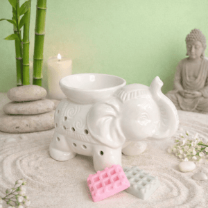 Brûleur Tandor Blanc