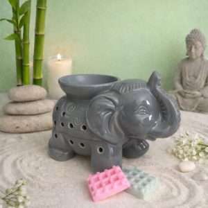 Brûleur Tandor Gris